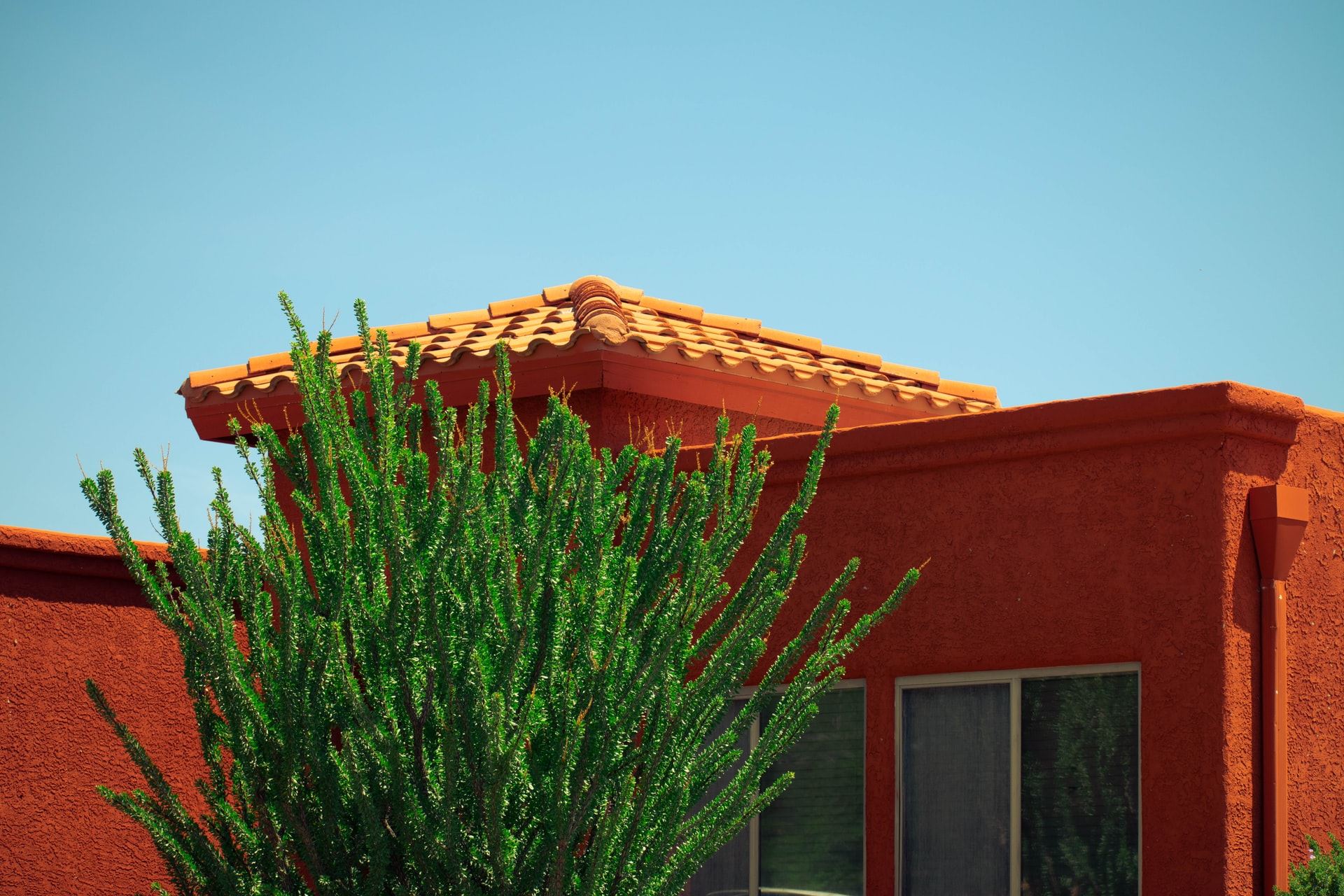 termite-inspection-phoenix-why-trust-a-pro